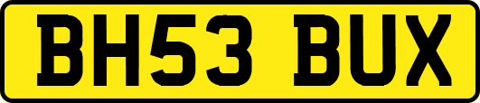 BH53BUX