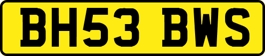 BH53BWS