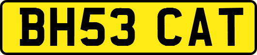 BH53CAT