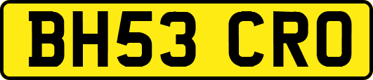 BH53CRO