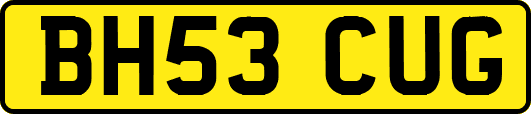 BH53CUG