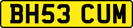 BH53CUM