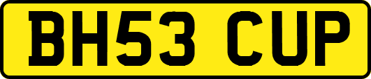 BH53CUP