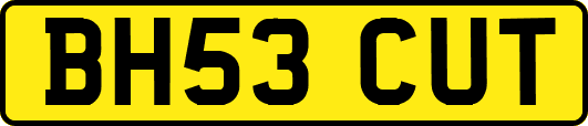 BH53CUT