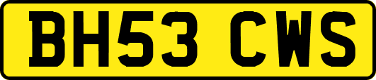 BH53CWS