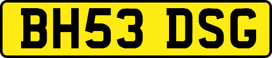 BH53DSG