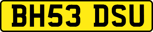 BH53DSU