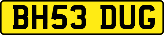 BH53DUG