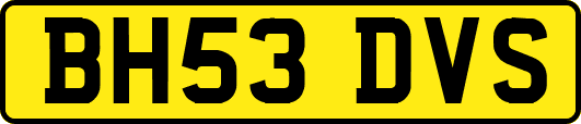 BH53DVS