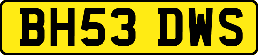 BH53DWS