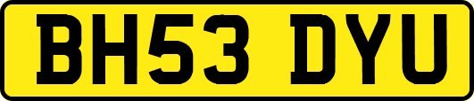BH53DYU