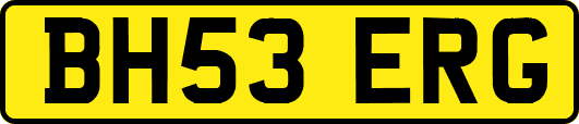BH53ERG