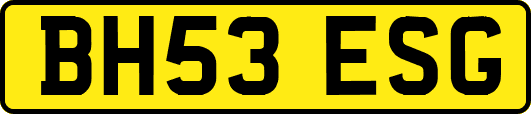 BH53ESG