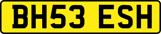 BH53ESH