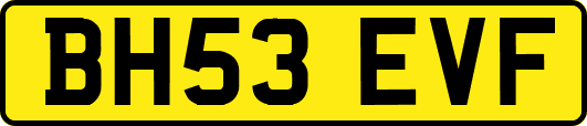 BH53EVF
