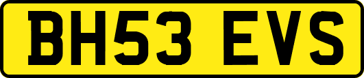 BH53EVS