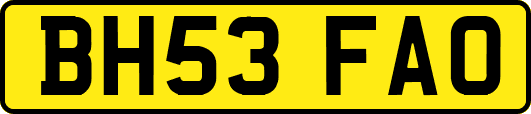 BH53FAO