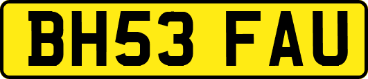 BH53FAU