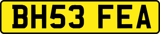 BH53FEA