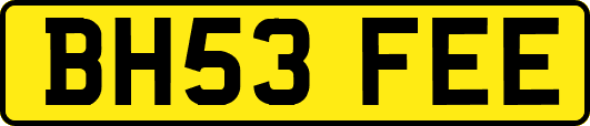 BH53FEE