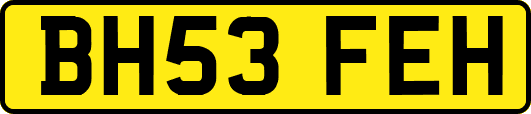 BH53FEH