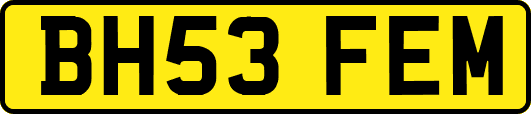 BH53FEM