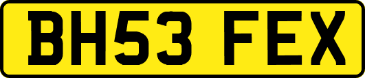 BH53FEX