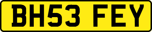 BH53FEY