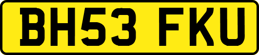 BH53FKU