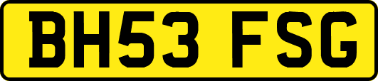 BH53FSG