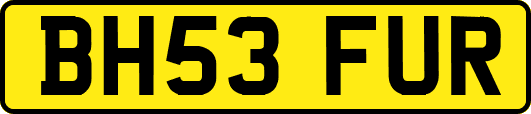 BH53FUR