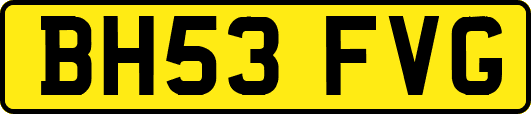 BH53FVG