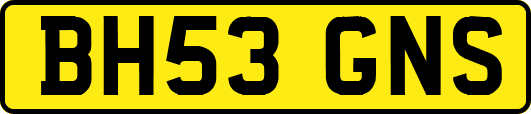 BH53GNS