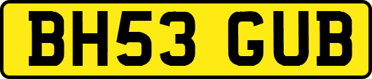 BH53GUB