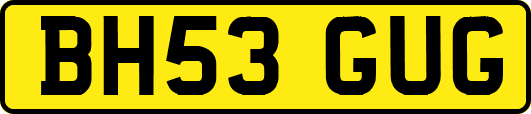 BH53GUG