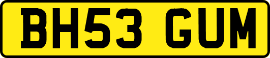 BH53GUM