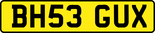 BH53GUX