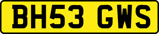 BH53GWS
