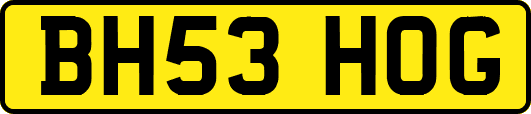 BH53HOG