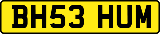 BH53HUM