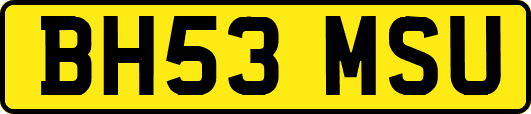 BH53MSU