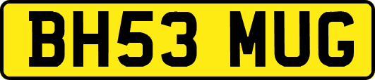 BH53MUG