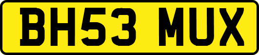 BH53MUX