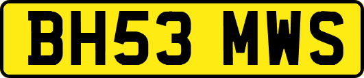 BH53MWS