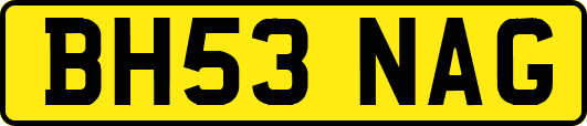 BH53NAG