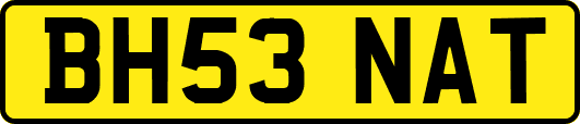 BH53NAT