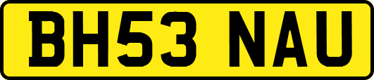 BH53NAU