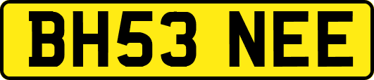 BH53NEE