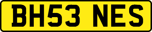 BH53NES