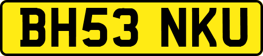 BH53NKU